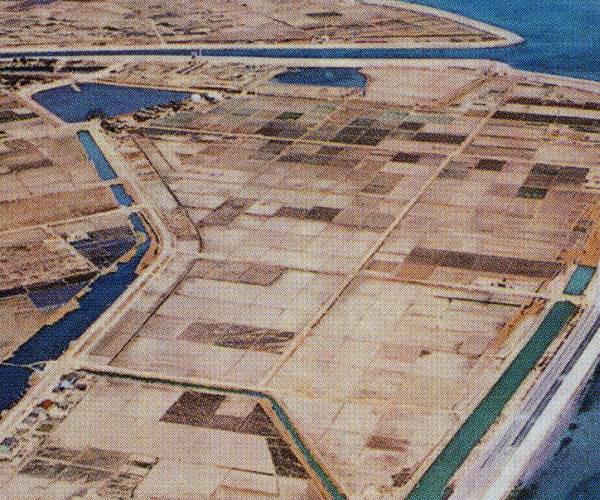 康衛新田護岸（愛知県半田市）